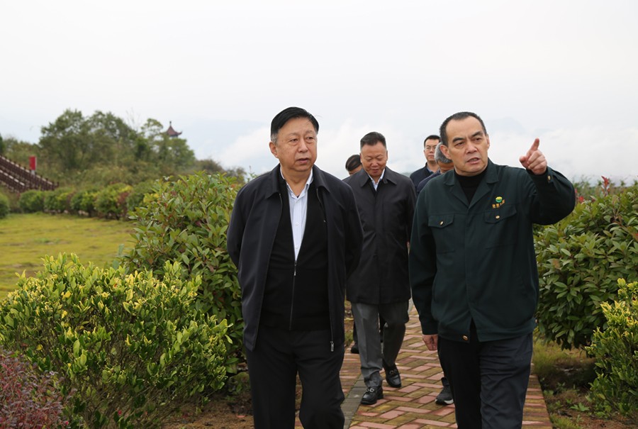 19-2021年10月，原國土資源部副部長汪民蒞臨公司調(diào)研。.jpg