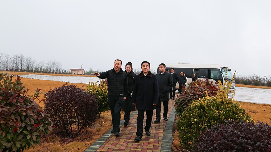 45-2020年12月，省高級人民法院黨組成員、副院長任建國蒞臨金徽股份調(diào)研知識產(chǎn)權(quán)司法保護工作。.jpg